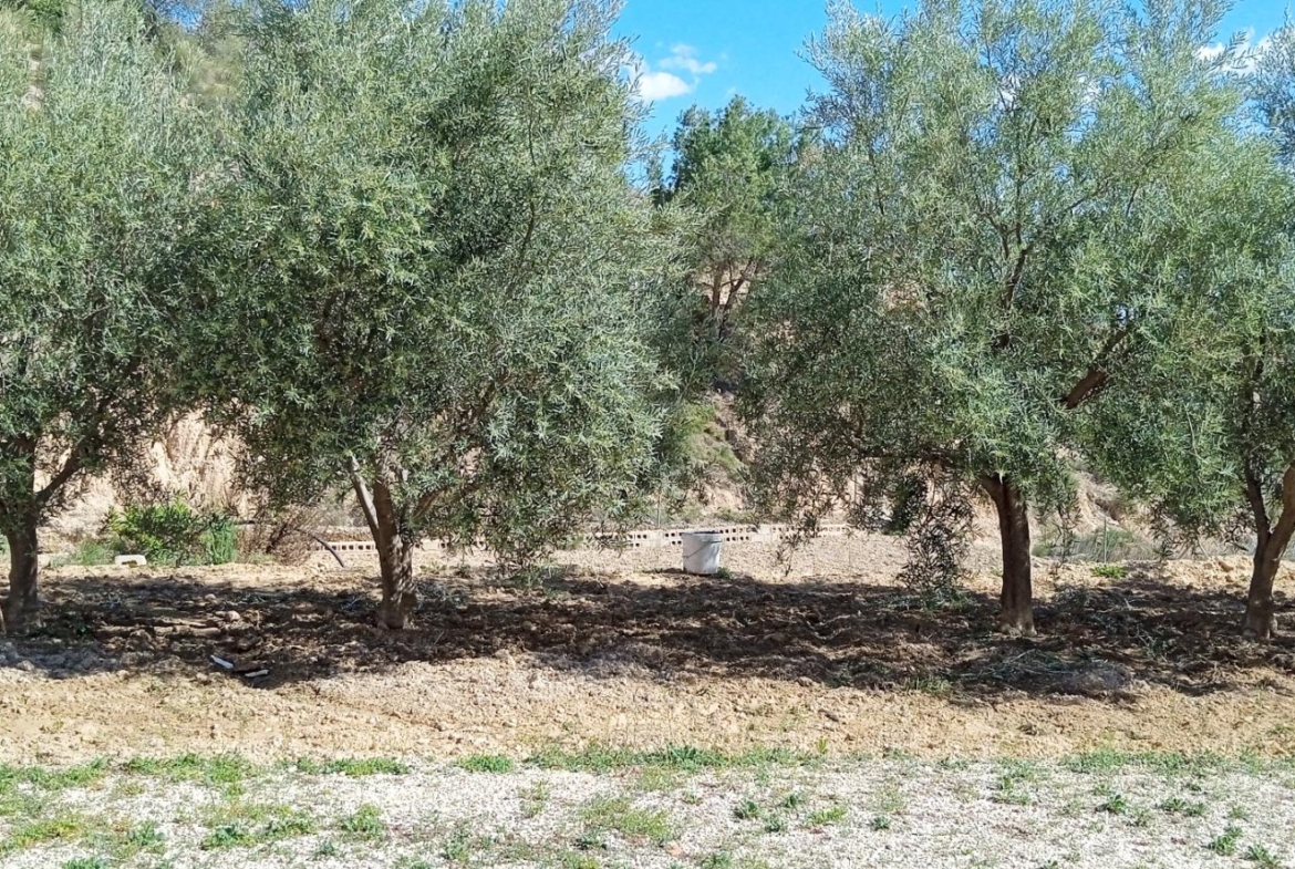 Villa en Crevillente