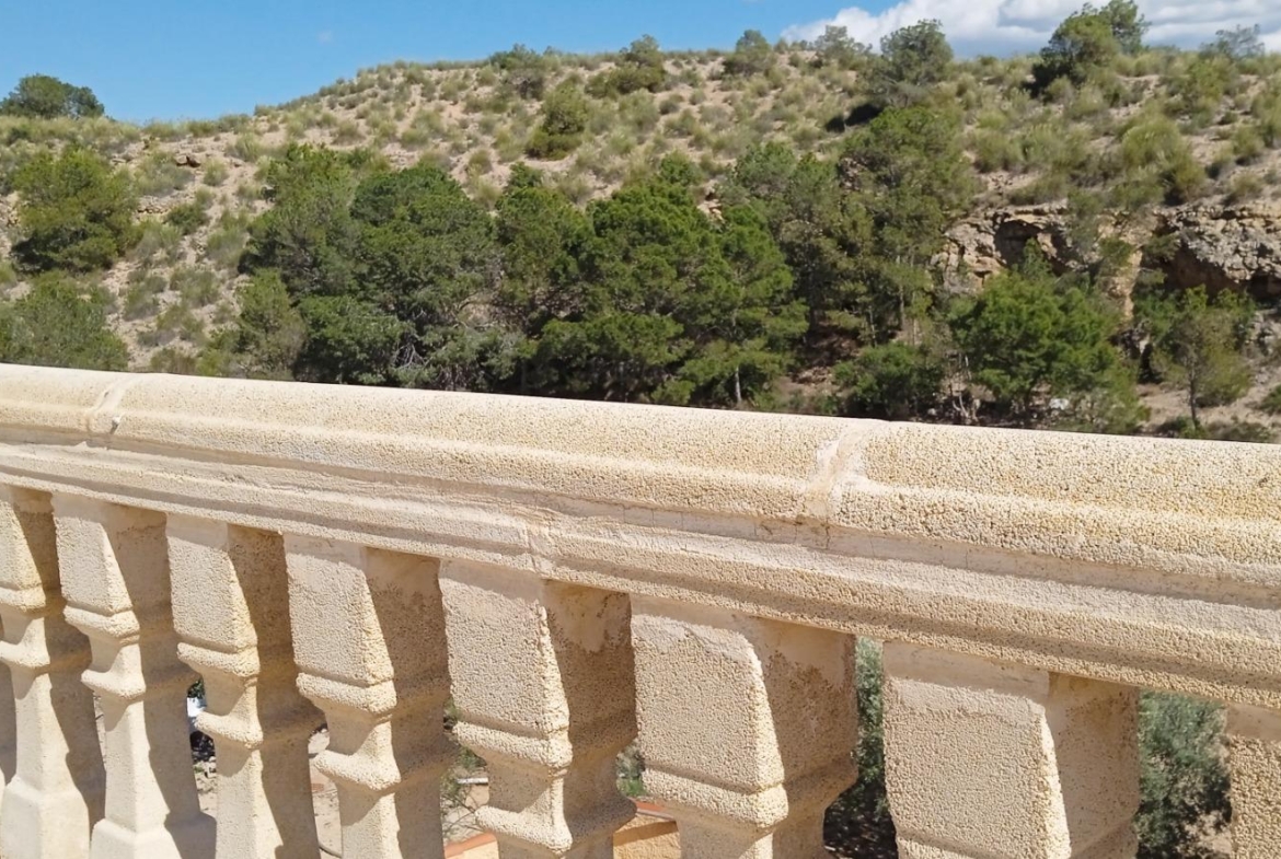 Villa en Crevillente